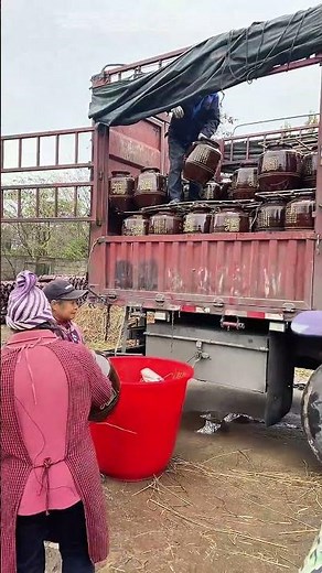 How a Simple Toss Preserves Century - Old Pottery During Unloading