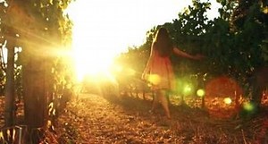 Discover healthy, sustainable wines. Enjoy the elegance of nature's logic without hangovers, headaches, or poor sleep. | Dry Farm Wines