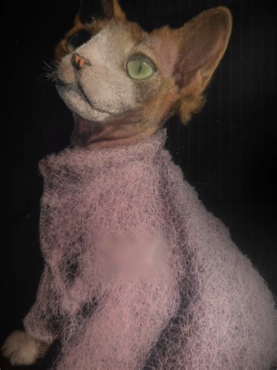Capturing the Devon Rex: A Scratch Artist's Passion