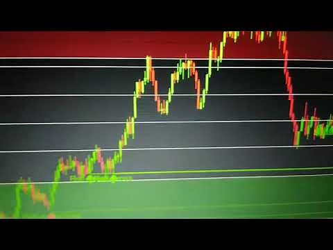 HOW TO USE The Belly system #forex beginners best price action.(How to win using the belly)