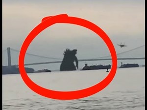 5 GODZILLA caught on camera | spotted in real life