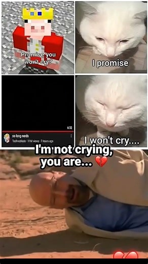 I promise #minecraft