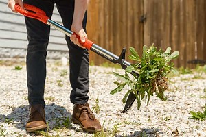 RootSlayer, un outil de jardin pour désherber sans se baisser ni se salir les mains