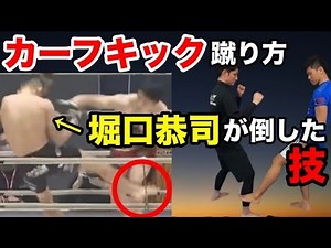 【カーフキック】堀口恭司が朝倉海を倒した蹴りを空手世界王者が解説してみた【RIZIN26】