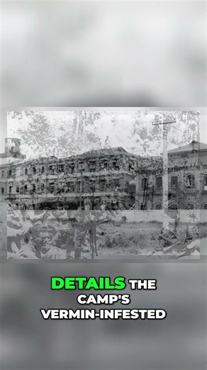 Prisoners' Untold Story: Unmarked Camp, Air Attacks, and a Japanese Commandant #shorts