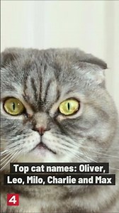 Most common dog and cat names for 2022, according to Rover.