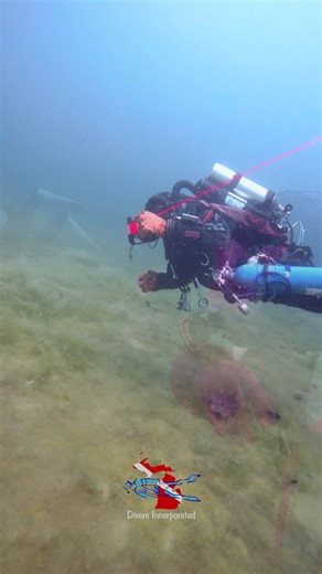 Video of White Star quarry on a buoy maintenance day. White Star Quarry has underwater sites for scuba divers to explore and photograph. Just like buoys found on Great Lakes Shipwrecks, the quarry buoys its underwater sites and these buoys need to be maintained. This is a video Natalie took while we were putting out videos in the late spring time. Visibility was excellent that day #scuba #divelocal #liveunfiltered @paditv | White Star Quarry