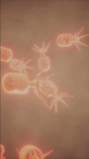 How Radiation Damages Our DNA – The Invisible Threat 🚨 #Science #Radiation #Genetics