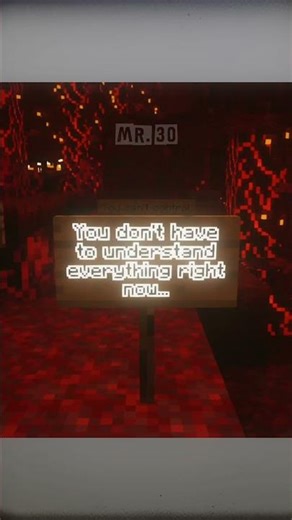 Minecraft signs: Don't worry :)