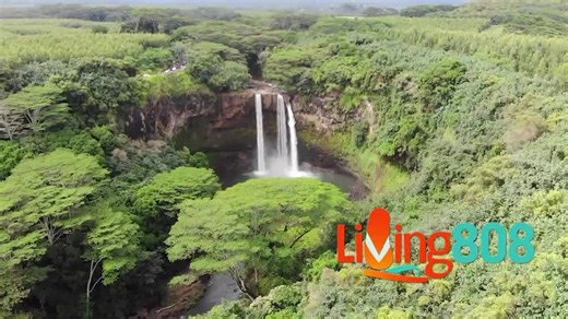 Discover Honolulu’s Hottest Dining and Nightlife Destination at Ki Club