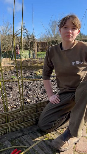 4.5K views · 49 reactions | Our talented team give the Potager borders a stunning finish with willow. Watch to learn how - SOUND ON! | RHS Garden Rosemoor | Facebook