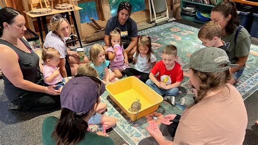 Oaks and Acorns program at the Gorman Nature Center