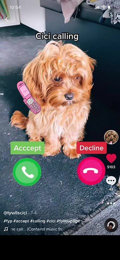 @cicio (@tywllscici)’s videos with original sound - @cicio