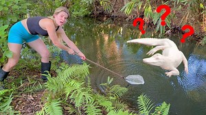 Creeping through an abandoned zoo full of life