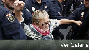 Las redes sociales llaman a salvar al perro 'Excalibur'