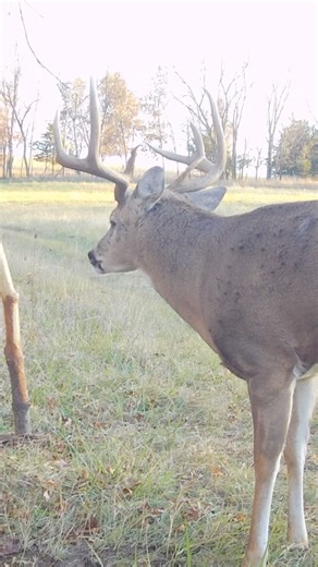 Have you ever heard a snort wheeze like this 😳 | RAISED HUNTING