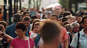 Why Did The Biggest Ape to Ever Live Go Extinct? Scientists May Have the Answer