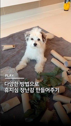다양한 방법으로 휴지심 장난감 만들어주기🧻