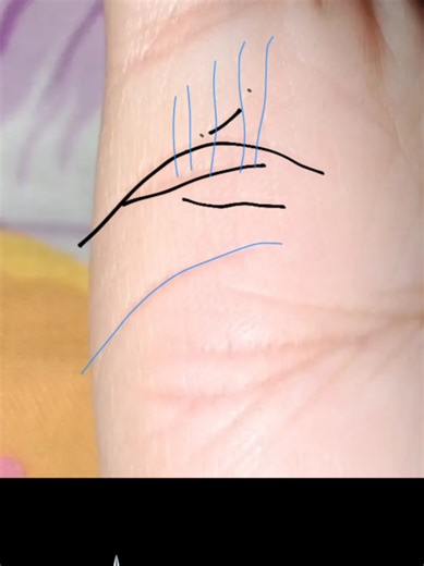 Understanding Palmistry: Insights from a Professional Palmist