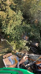 103K views · 988 reactions | Tree down, mission complete 望 #lumberjack #treechopping #chainsaw #asmr #satisfying #trees #logchopper | Guilty of treeson | Facebook