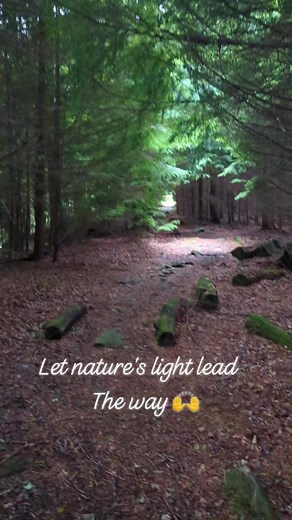 117 reactions · 10 comments | Have you ever noticed how nature's...