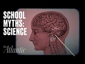 Common Misconceptions About the Human Body