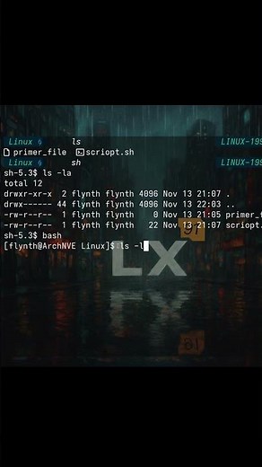 Que es la shell ? #shell #linux #comandoslinux