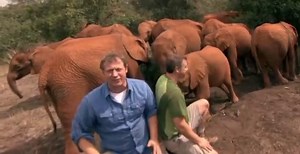 Wild Kratts Wild Kratts S02 E003 – Creature Power Challenge