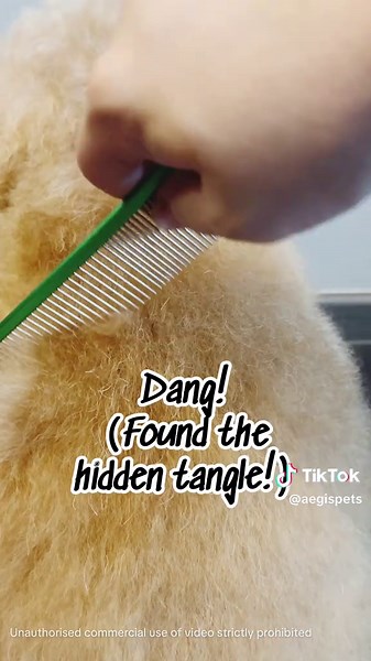 Aluminium Pet Grooming Tool for Cats and Dogs