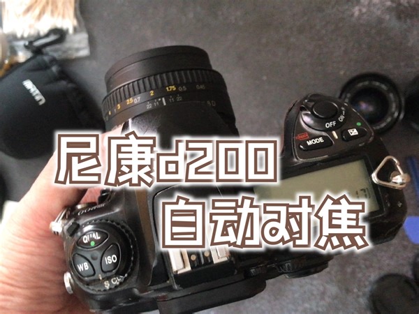 【器材】尼康d200自动对焦拍照演示