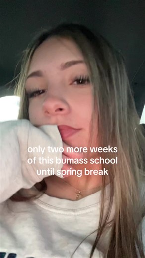 Excited for Spring Break: Countdown Begins!