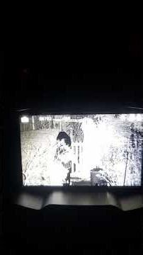 Infrared Binoculars. Cheap, But Good Enough 😎👍