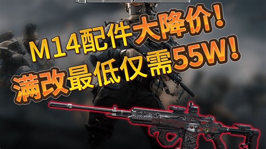 M14配件大降价！满改最低仅需55W！