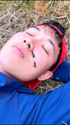 Survival Skills: Useful and Clever #outdoors #survival #campfire #bushcraft #short