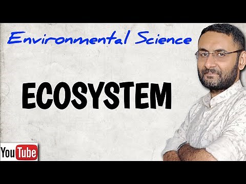 Eco System | Ecology | Short note | Environmental Science | EVS