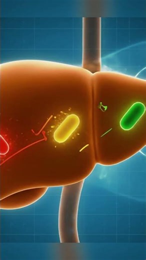 Your Liver: The Real MVP of Detoxification 💪🧠 | How It Actually Works