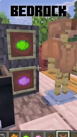 Minecraft Java VS Bedrock ( COLORANT )