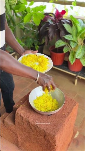 😋Can I make this little pumpkin halwa so tasty🎃 #pumpkin #cooking #sweet #gardening #home #recipe