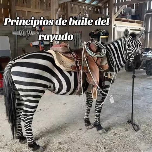 Traditional Mexican Charro Dance Techniques