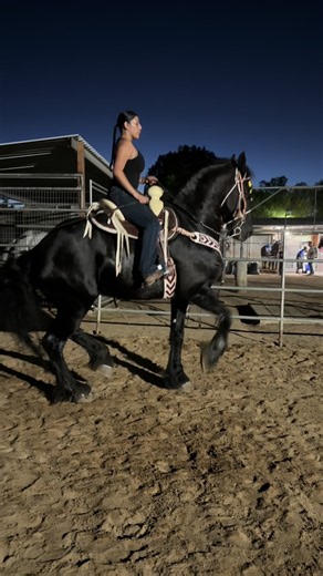 Ese Apolo😍🍀🔥#caballotiktok #caballobailador #arribalasmujeres #friesianhorse #foryoupage