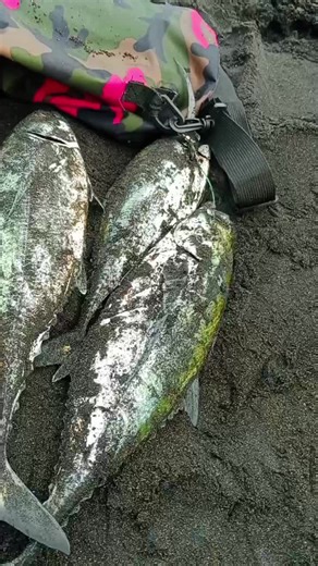 Discover the Joy of Balihoo Fishing