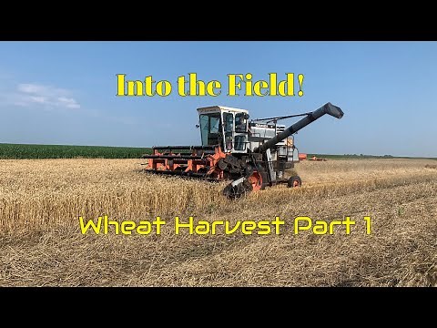 Into the field with the GLEANER K! (Wheat Harvest Part 1)