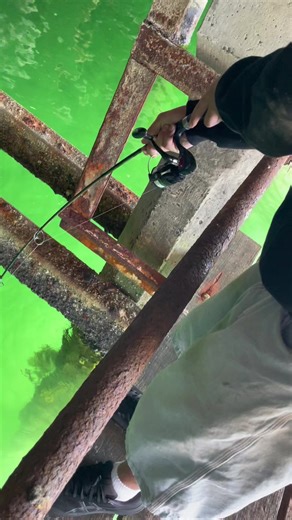 Discover Big Pink Fish Catches in Action