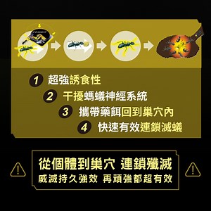 Combat威滅 滅蟻隊 居家防護 6入裝(除螞蟻/螞蟻藥) | 其他品牌 | Yahoo奇摩購物中心