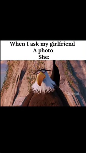 memsssss66 on Instagram: "🎬The Angry Birds Movie 2016 Family/Comedy 1h 37m 📜Storyline Red, a grumpy bird with a temper problem, lives with other flightless birds on a peaceful island. When a mysterious group of green pigs arrives claiming friendship, Red gets suspicious and teams up with his new buddies Chuck and Bomb to uncover their real plan. What starts as a simple mystery turns into a wild animated adventure packed with humor, action, and colorful chaos as the birds try to save their home