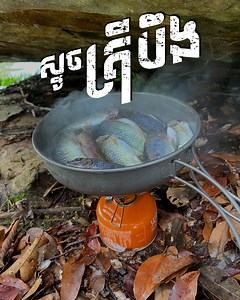 495K views · 10K reactions | ស្ទូចត្រីបឹង | DanCherng Adventure/ដានជើង | Facebook