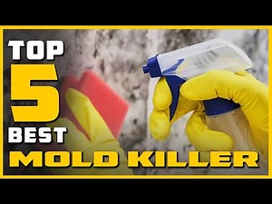 Top 5 Best Mold Killers Review [2023]