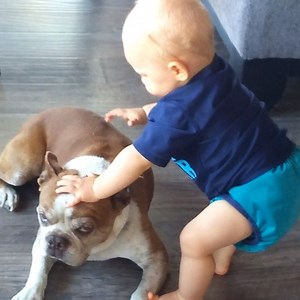 1.3M views · 10K reactions | HI NEW FRIENDS! 殺 | All The Babies | Facebook