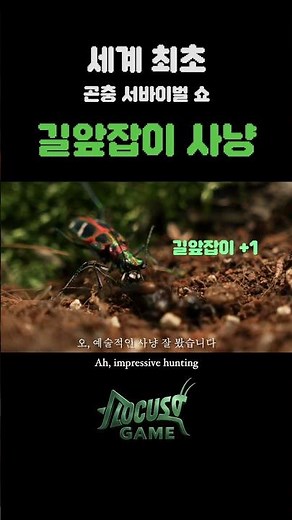 길앞잡이의 사냥! 세계 최초 곤충 서바이벌쇼 로커스트 게임! #곤충 #insects #사마귀 #mantis #서바이벌 #곤충서바이벌 #로커스트게임 #사냥