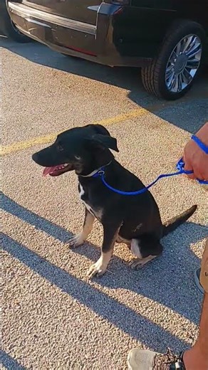 A2058310 Luke and A2058955 Nova temp test 2